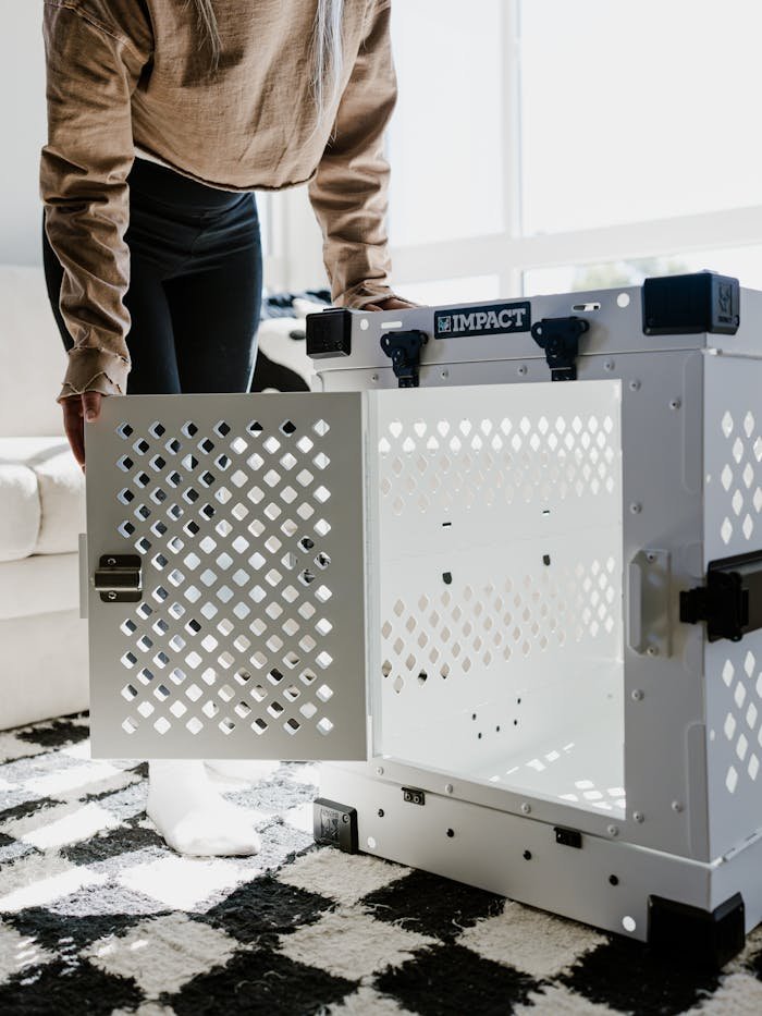 A high-quality Impact dog crate in a contemporary living room, highlighted by natural light.
